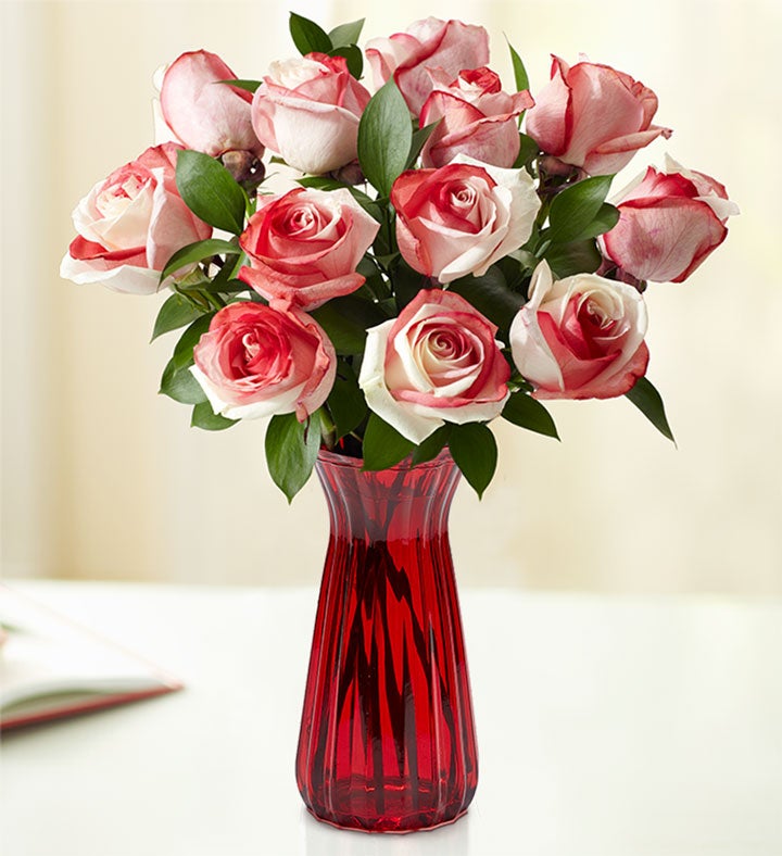 Red & White Kaleidoscope Roses